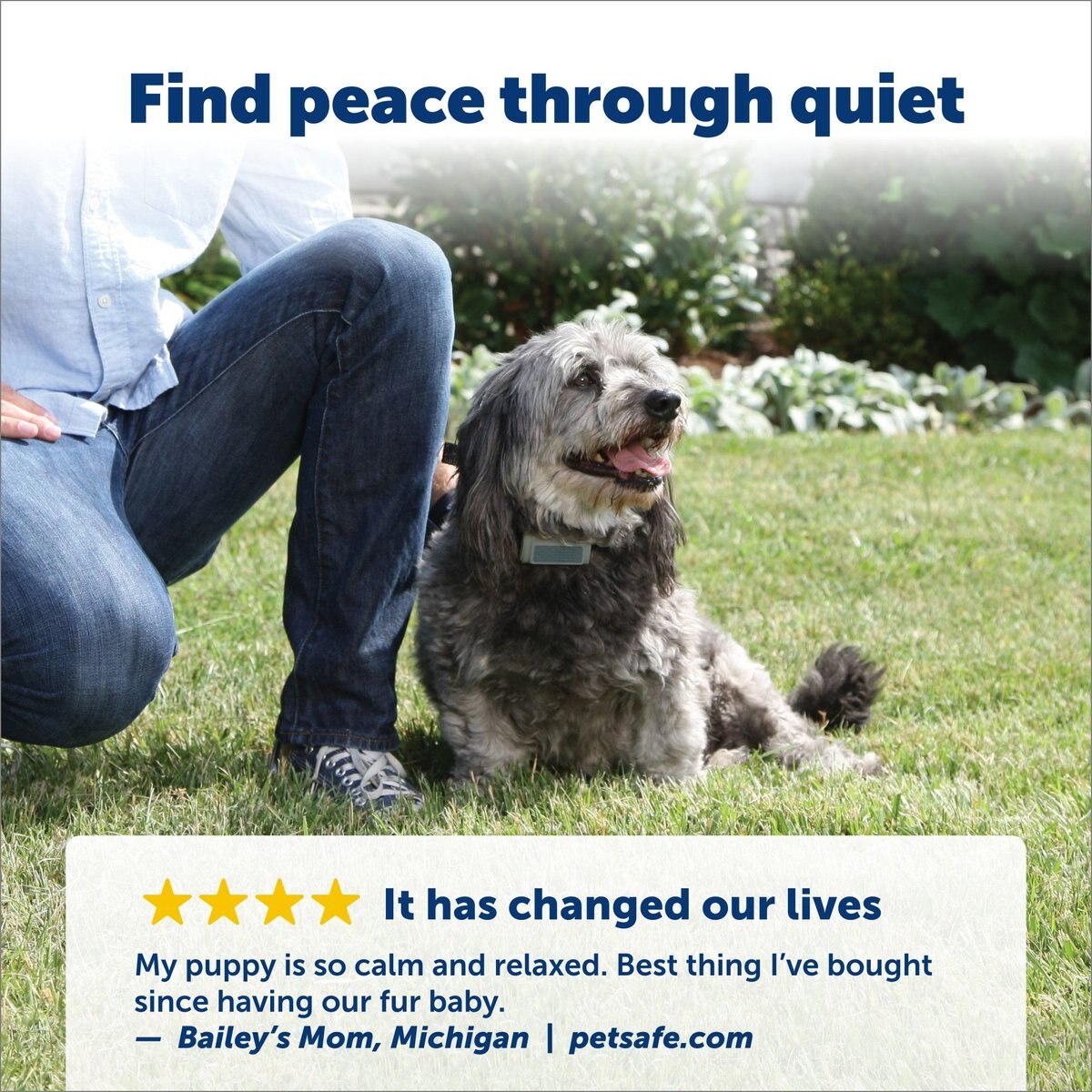 PETSAFE Ultrasonic Bark Control Collar