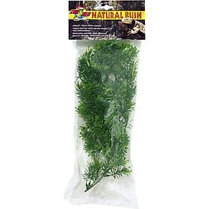 Zoo Med Borneo Star Reptile Plant, Medium