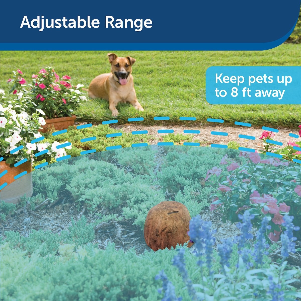 Petsafe outdoor hot sale pet barrier