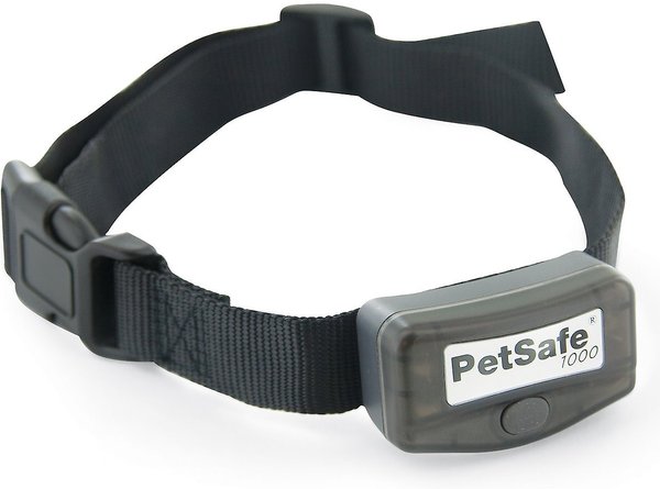 Chewy on sale petsafe collar