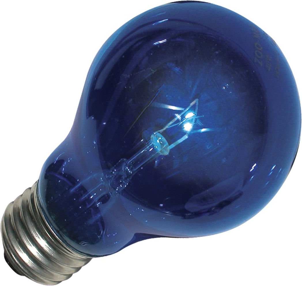 Zoo med outlet blue light bulb