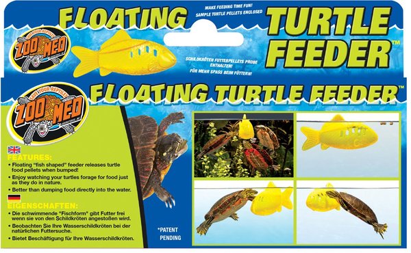 Feeder fish for turtles best sale