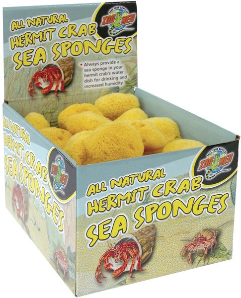 Hermit Crab Sponge 2 Pack to Keep Humidity in Tank