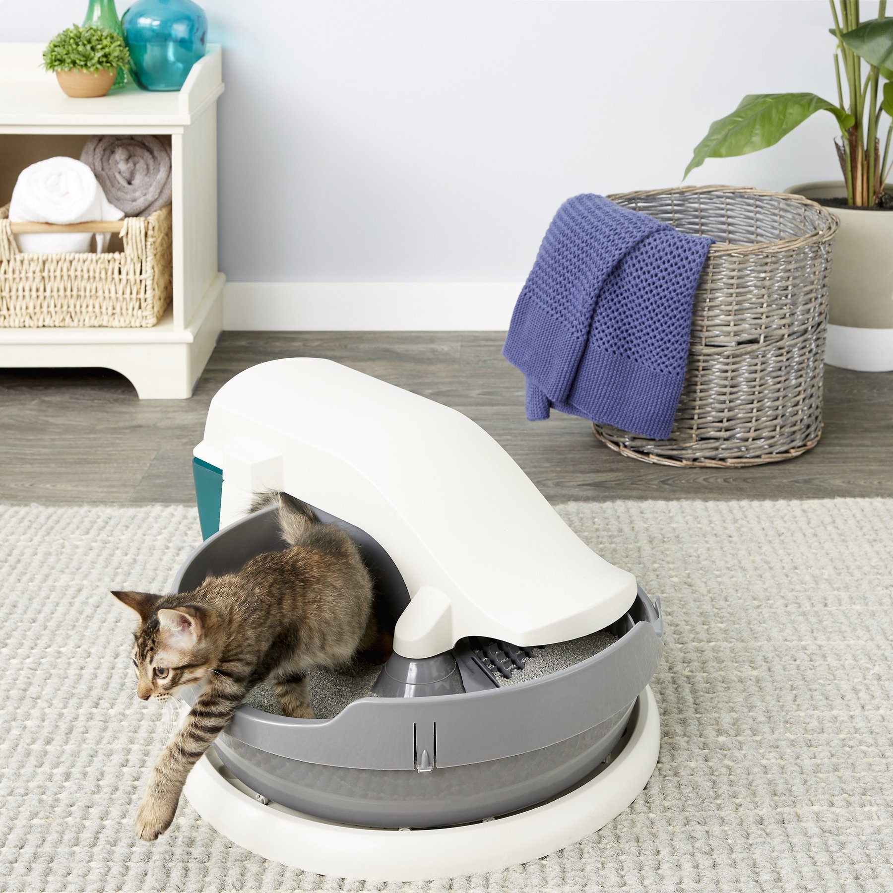 Petsafe simply clean outlet cat litter box