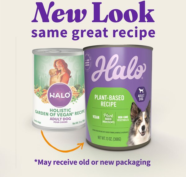 Halo vegan cat food best sale