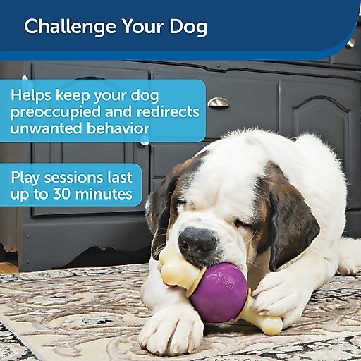 PetSafe Busy Buddy Bouncy Bone Treat Dispenser Tough Dog Chew Toy, Medium
