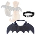 Frisco Bat Wings Dog & Cat Costume, X-Small/Small + Buckle-Down Batman Shield  Dog Collar, Small: 9.5 to 13-in neck, 1-in wide