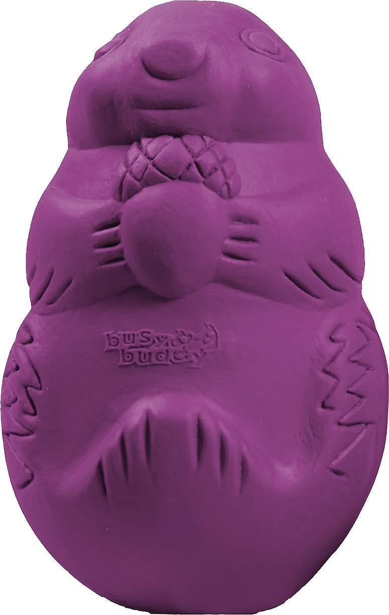 purple squirrel dog toy