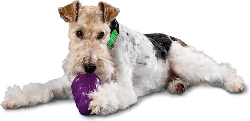 Show full view: PetSafe Busy Buddy Squirrel Dude Treat Dispenser Tough Dog Chew Toy, Medium slide 3 of 9