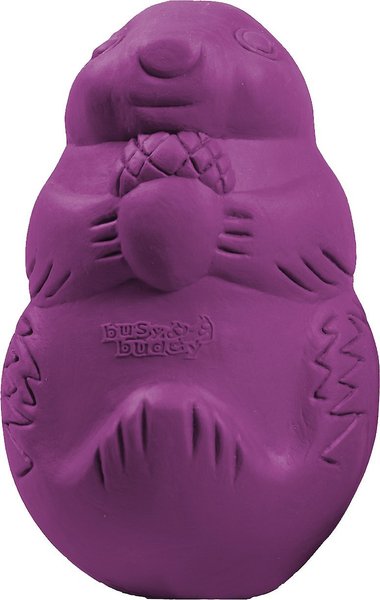 PetSafe Busy Buddy Squirrel Dude Treat Dispenser Tough Dog Chew Toy, Large slide 1 of 8