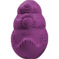 PetSafe Busy Buddy Squirrel Dude Treat Dispenser Tough Dog Chew Toy, Large