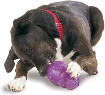 Show full view: PetSafe Busy Buddy Squirrel Dude Treat Dispenser Tough Dog Chew Toy, Large slide 3 of 9