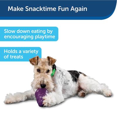 Show full view: PetSafe Busy Buddy Squirrel Dude Treat Dispenser Tough Dog Chew Toy, Large slide 7 of 9