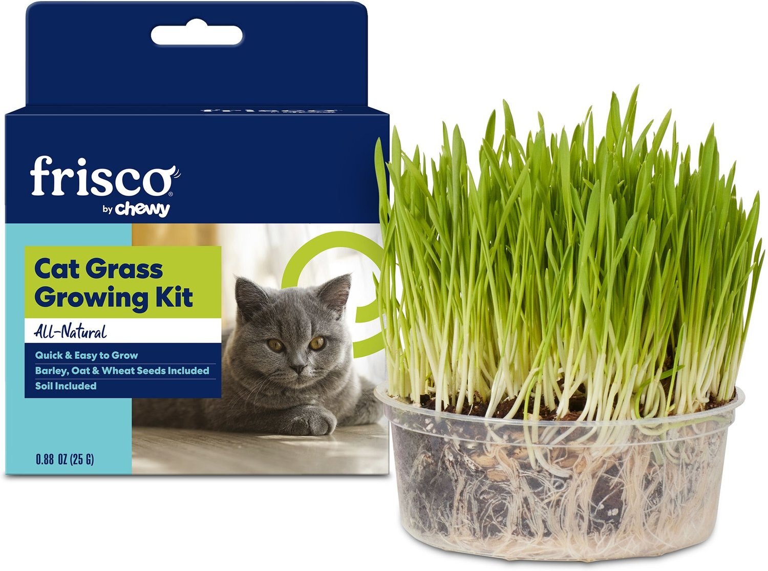 FRISCO Natural Cat Grass Growing Kit, 3 count