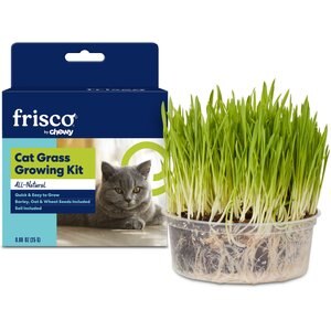 Frisco Natural Cat Grass Growing Kit, 3 count