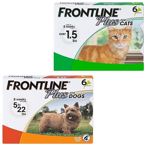 Frontline Plus Flea & Tick Spot Treatment for Cats, over 1.5 lbs, 6 Doses + Spot Treatment for Small Dogs, 5-22 lbs, 6 Doses slide 1 of 9