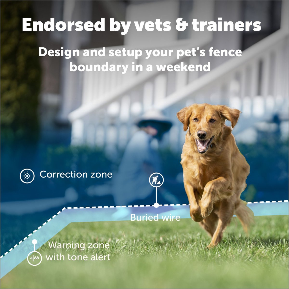 Wireless dog hotsell fence chewy