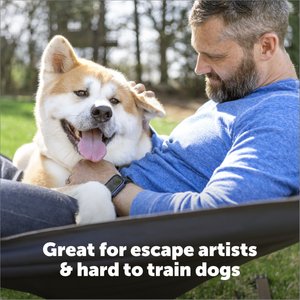 PetSafe Stubborn Dog In-Ground Receiver Collar