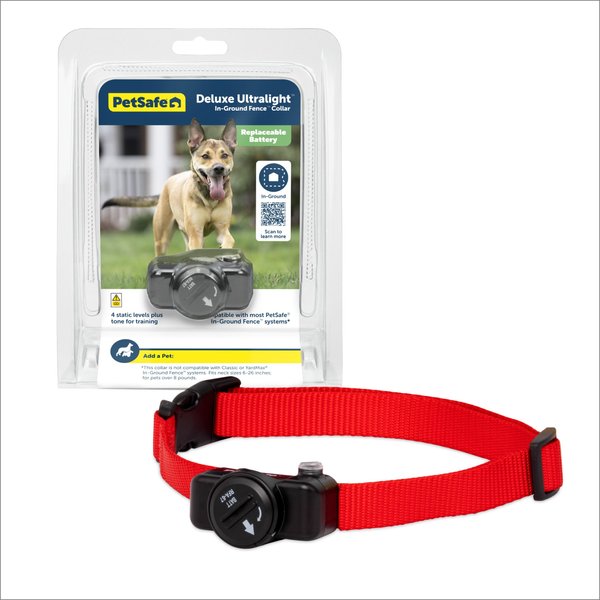 Ballpark Elite Baseball Dog Collar (Small)