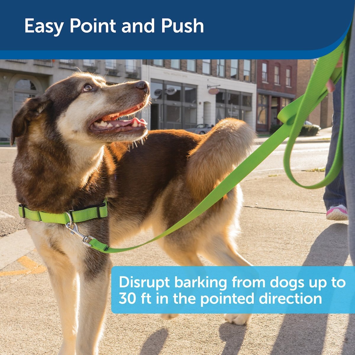 PETSAFE Collarless Ultrasonic Remote Trainer System