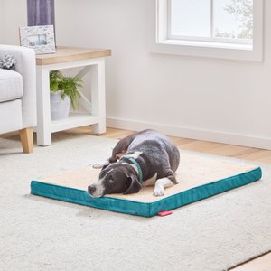 Brindle 2-in Orthopedic with Machine Washable Cover Dog & Cat Bed, Teal, Medium