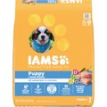 Iams Proactive Health Large Breed Puppy with Real Chicken Dry Dog Food, 30.6-lb bag