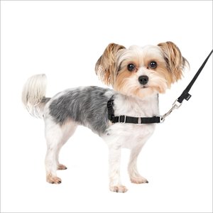 PetSafe Easy Walk Dog Harness, Black/Silver, Petite/Small