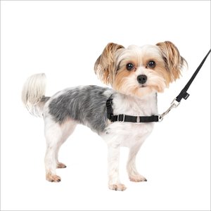 LI'L PALS Comfort Mesh Step In Back Clip Dog Harness, Black, 10 to 12-in  chest 