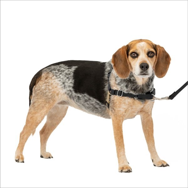 PetSafe Easy Walk Dog Harness, Black/Silver, Small/Medium slide 1 of 11