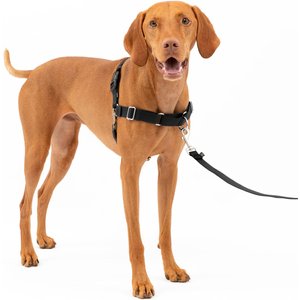 PetSafe Easy Walk Dog Harness, Black/Silver, Medium