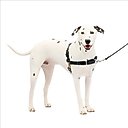 PetSafe Easy Walk Dog Harness, Black/Silver, Medium/Large