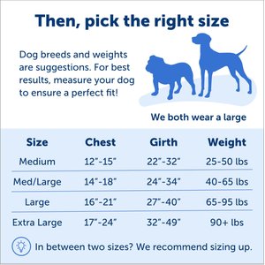 PetSafe Easy Walk Dog Harness, Black/Silver, Medium/Large