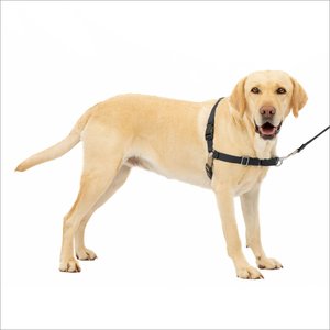 PetSafe Easy Walk Dog Harness, Black/Silver, Large