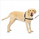 PetSafe Easy Walk Dog Harness, Black/Silver, Large