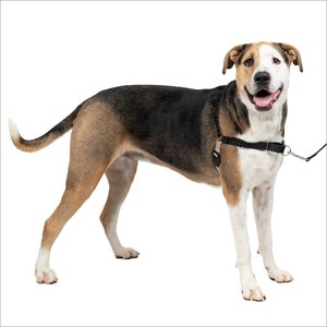 PetSafe Easy Walk Dog Harness, Black/Silver, X-Large