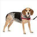 PetSafe Easy Walk Dog Harness, Red/Black, Small/Medium