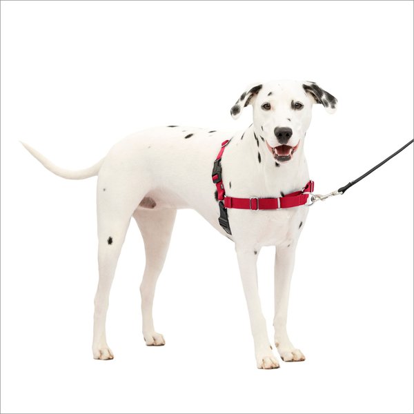 PETSAFE Easy Walk Dog Harness, Red/Black, Medium/Large - Chewy.com