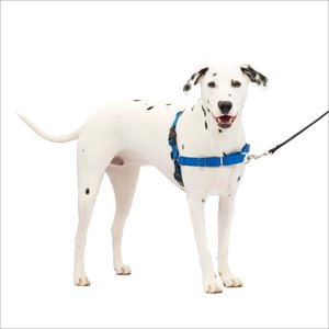 PetSafe Easy Walk Dog Harness, Royal Blue/Navy, Medium/Large
