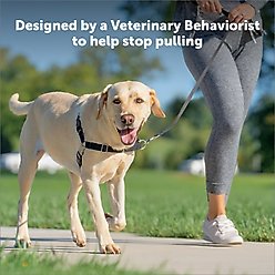 PetSafe Easy Walk Dog Harness, Royal Blue/Navy, Medium/Large slide 2 of 8