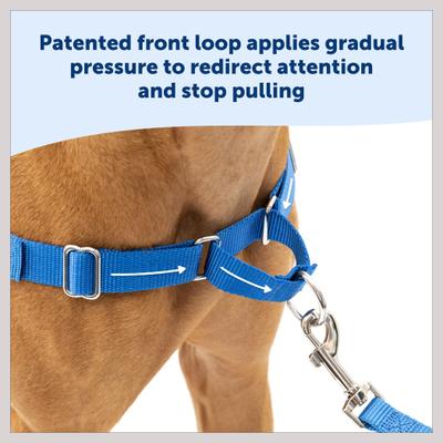 Show full view: PetSafe Easy Walk Dog Harness, Royal Blue/Navy, Medium/Large slide 3 of 12