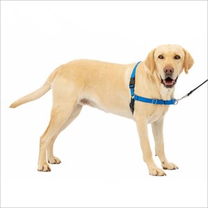 PetSafe Easy Walk Dog Harness, Royal Blue/Navy, Large