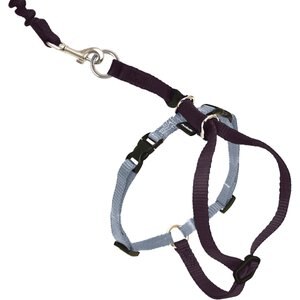 PetSafe Come With Me Kitty Nylon Cat Harness & Bungee Leash, Black/Silver, Small: 9 to 11-in chest