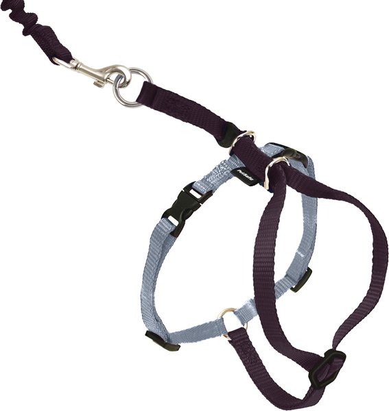 PetSafe Come With Me Kitty Nylon Cat Harness & Bungee Leash, Black/Silver, Medium: 10.5 to 14-in chest slide 1 of 8