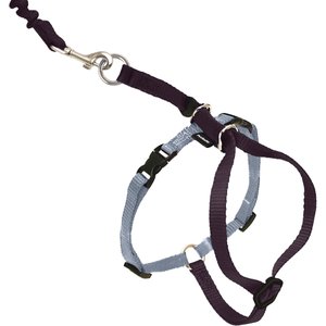 PetSafe Come With Me Kitty Nylon Cat Harness & Bungee Leash, Black/Silver, Medium: 10.5 to 14-in chest