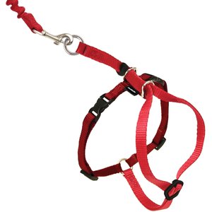 PetSafe Come With Me Kitty Nylon Cat Harness & Bungee Leash, Red/Black, Small: 9 to 11-in chest
