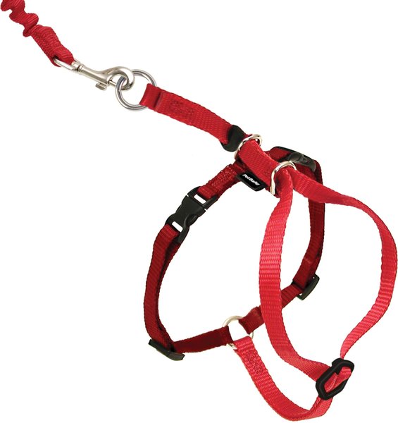 PetSafe Come With Me Kitty Nylon Cat Harness & Bungee Leash, Red/Black, Medium: 10.5 to 14-in chest slide 1 of 8