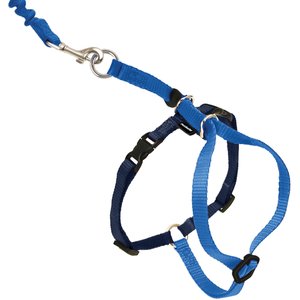 PetSafe Come With Me Kitty Nylon Cat Harness & Bungee Leash, Royal Blue/Navy, Small: 9 to 11-in chest