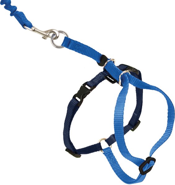 PetSafe Come With Me Kitty Nylon Cat Harness & Bungee Leash, Royal Blue/Navy, Medium: 10.5 to 14-in chest slide 1 of 8