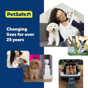 PetSafe Classic Pet Door Replacement Flap, Large