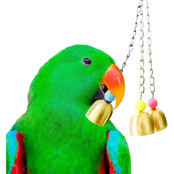 JW PET Holee Roller Bird Toy, Color Varies, Large